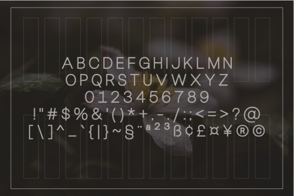 Ponystillo Font PNG with transparent background - Preview 1