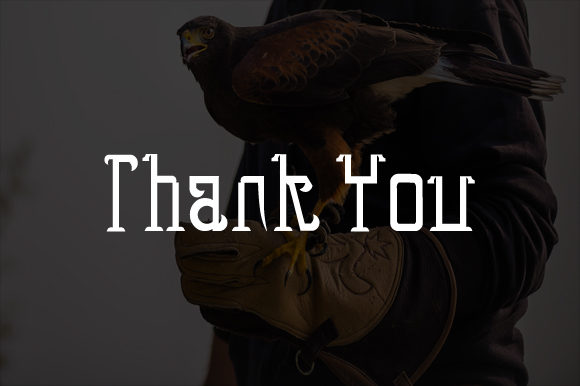 Eagle Brown 1 Font - Preview 6