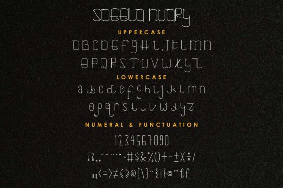 Saeela Nuary Font font preview - 6