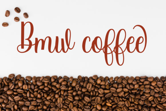 Austina Font - Preview 4