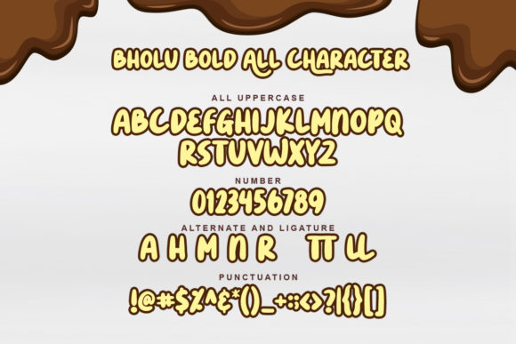 Bholu Bold Font - Preview 4