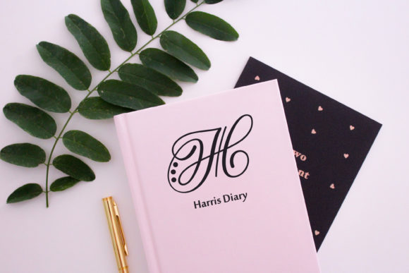Hand Lettered Effect Monogram Font - Preview 3