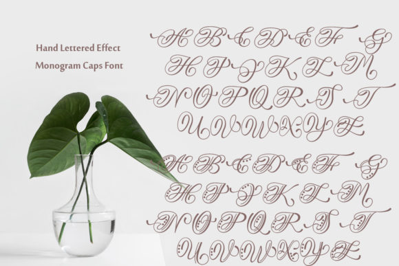 Hand Lettered Effect Monogram Font - Preview 6