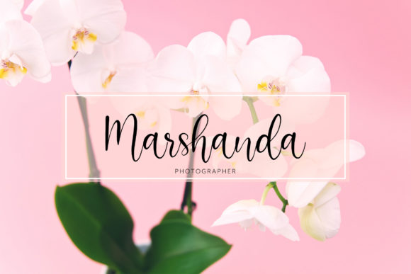 Beauty Mothers Font PNG with transparent background - Preview 3