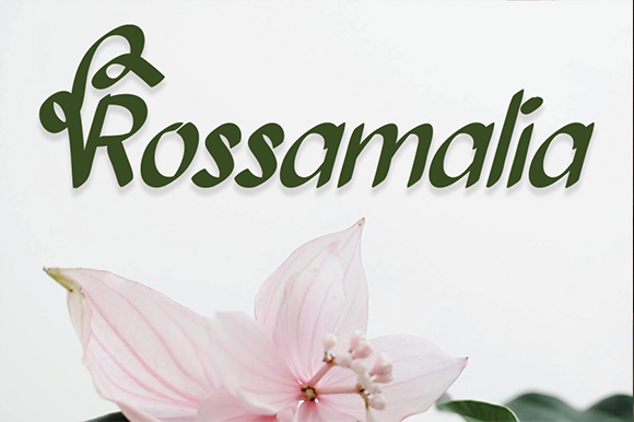 Bollanita Font - Preview 2