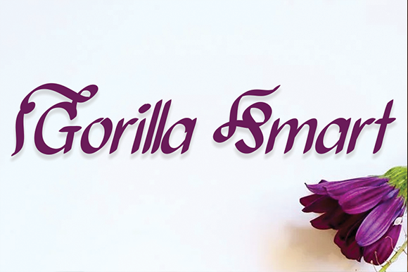 Bollanita Font - Preview 3