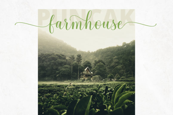 Calathea Font - Preview 6