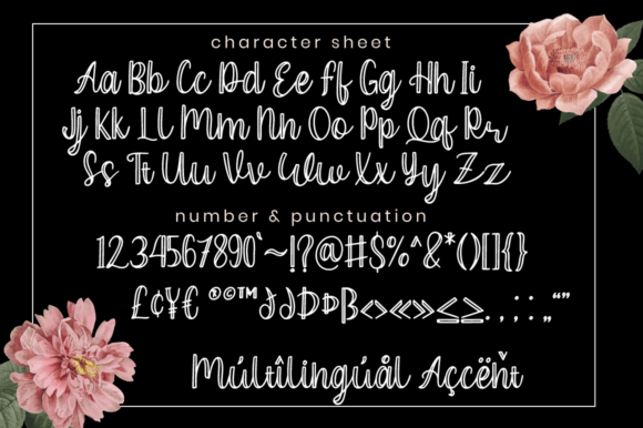 Ceylonia Font - Preview 6