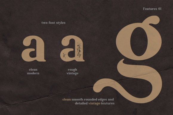 Ambigue Wild Font - Preview 4