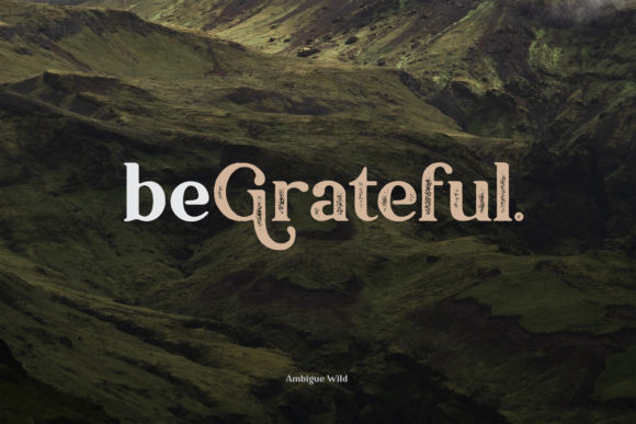 Ambigue Wild Font - Preview 5