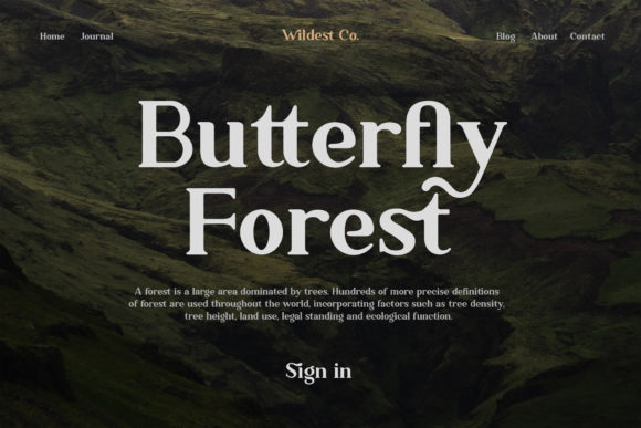 Ambigue Wild Font - Preview 6