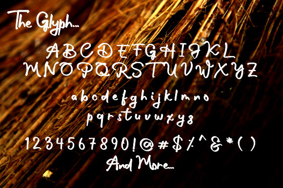 Shaynee Font font preview - 1
