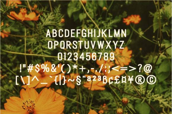Berthave Font - Preview 1
