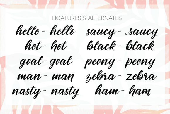 Birds of Paradies Font - Preview 3