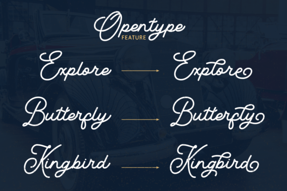 Blondia Font - Preview 2