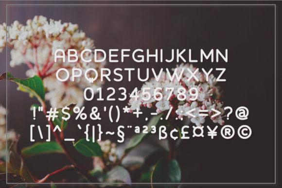 Elizable Font - Preview 1