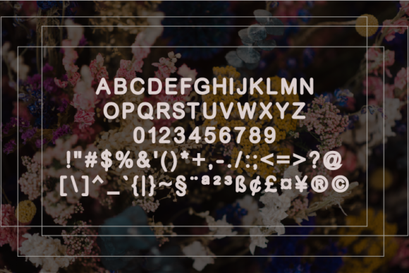 Eloise Font - Preview 1