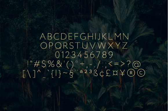 Koalah Font PNG with transparent background - Preview 1