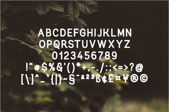 Riabold Font PNG with transparent background - Preview 1