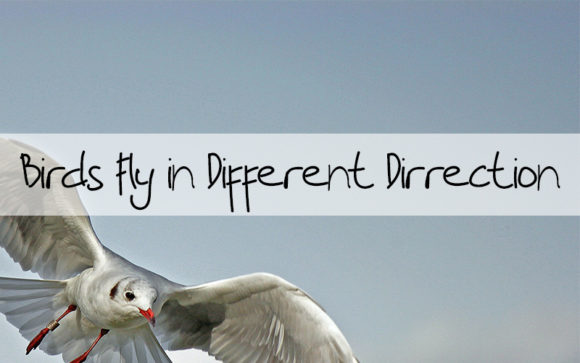 Like a Birds Font PNG with transparent background - Preview 1