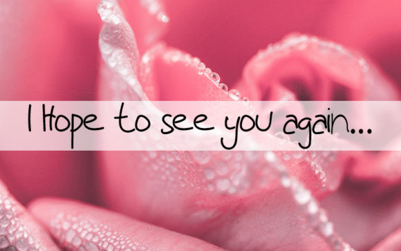 Like a Birds Font PNG with transparent background - Preview 2
