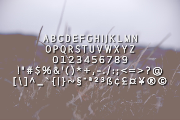 Alliony Font - Preview 1