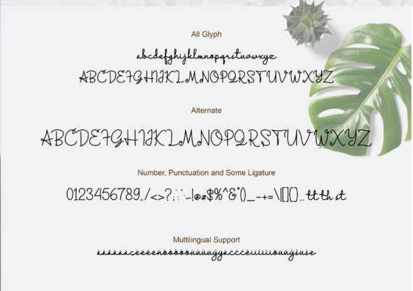 Localova Font PNG with transparent background - Preview 5