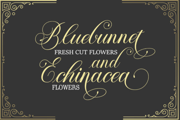 Ramozact Font PNG with transparent background - Preview 3
