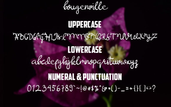 Bougenville Font - Preview 4