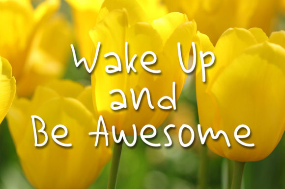 Puce Punch Font PNG with transparent background - Preview 1