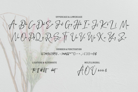 Sintya Font PNG with transparent background - Preview 4