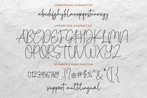 Beauty Andellia Font - Preview 5