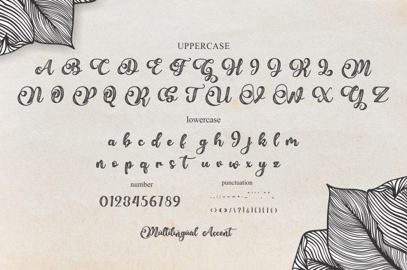 Bellove Font - Preview 6