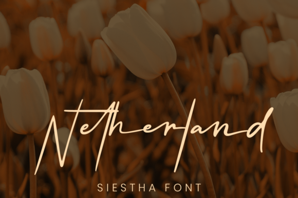 Siestha Font PNG with transparent background - Preview 3