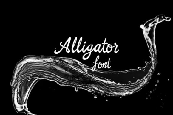 Alligator Script Boden Alpha Font by carina2 · Creative Fabrica