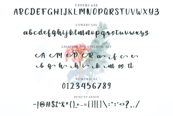 Beauty Chatti Font PNG with transparent background - Preview 6