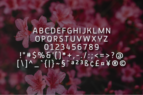 Berna Font - Preview 1