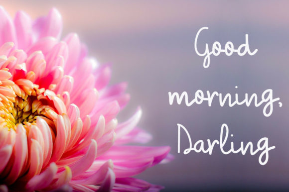 Caramel Latte Font - Preview 2
