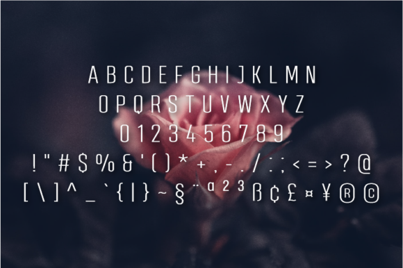 Dunone Font - Preview 1