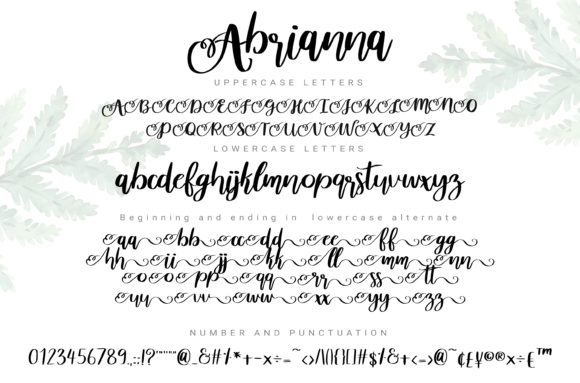 Abrianna Font - Preview 4