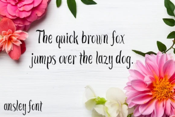 Ansley Font - Preview 1