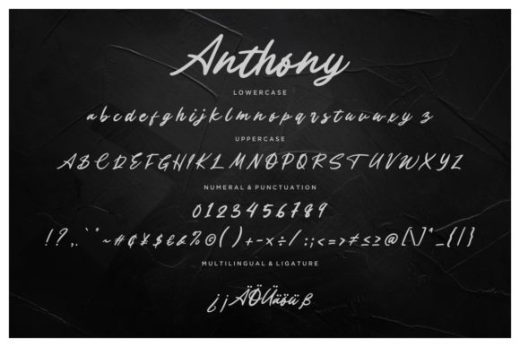Anthony Font - Preview 6