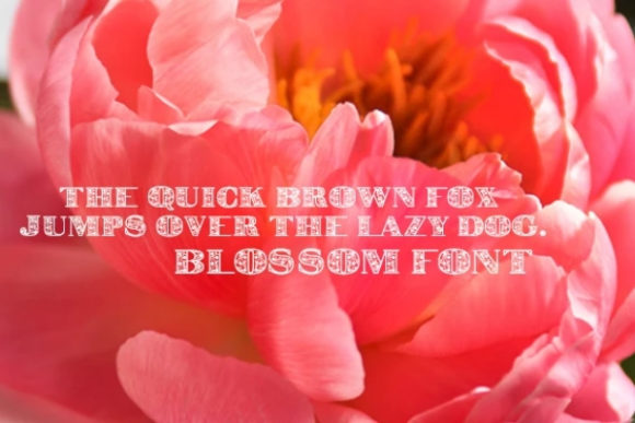 Blossom Font - Preview 1