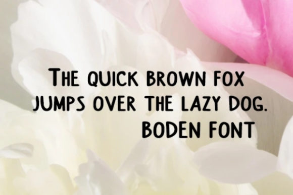Boden Alpha Font - Preview 1