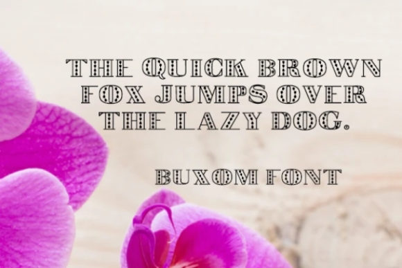 Buxom Font PNG with transparent background - Preview 1
