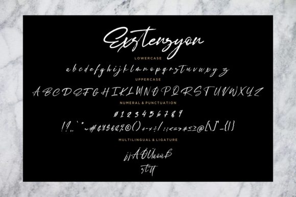 Exstensyon Font - Preview 6