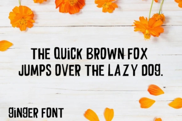 Ginger Font - Preview 1