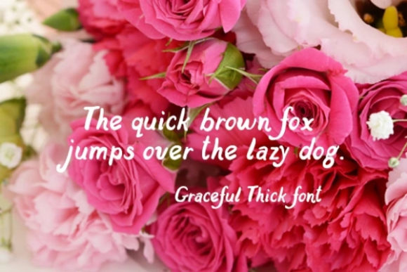 Graceful Brush Font - Preview 1