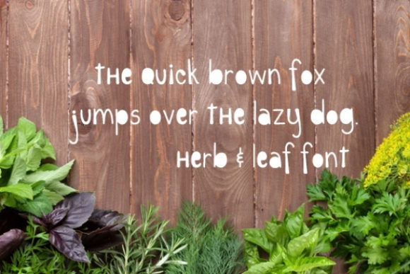 Herb & Leaf Font PNG with transparent background - Preview 1