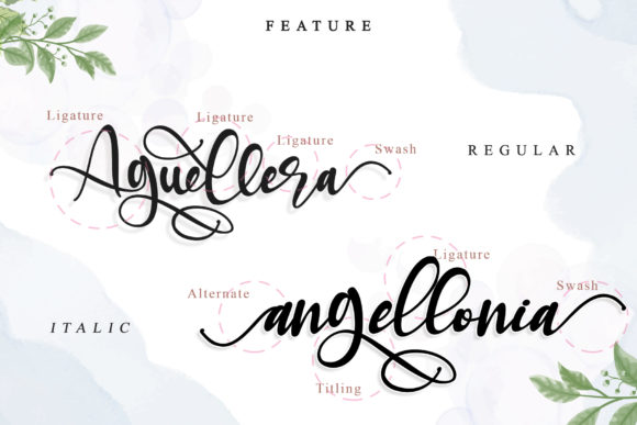 Aguellera Font - Preview 6